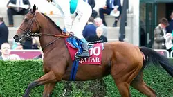 Moonlight Cloud and Stars