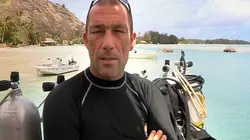 Moorea : l'île aux requins citron