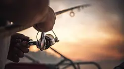 Mordu de la pêche E04 Attaques En Serie