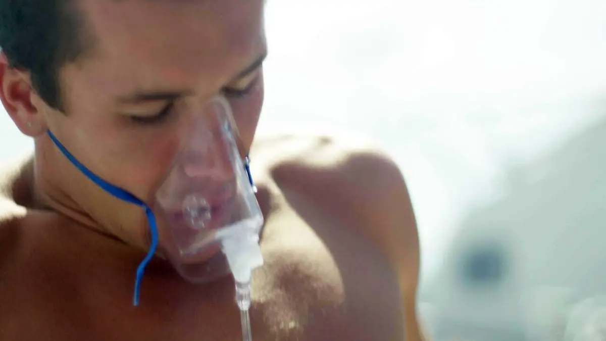 Morsures animales Où est maman ?