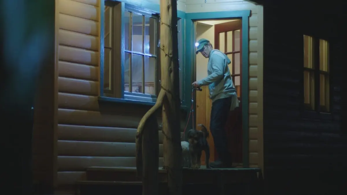 Morsures animales Nuit soudaine