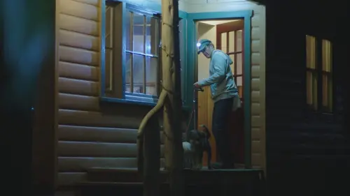 Morsures animales Nuit soudaine