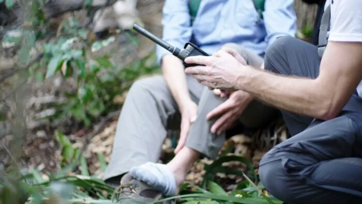 Morsures animales Ceci n'est pas un cerf