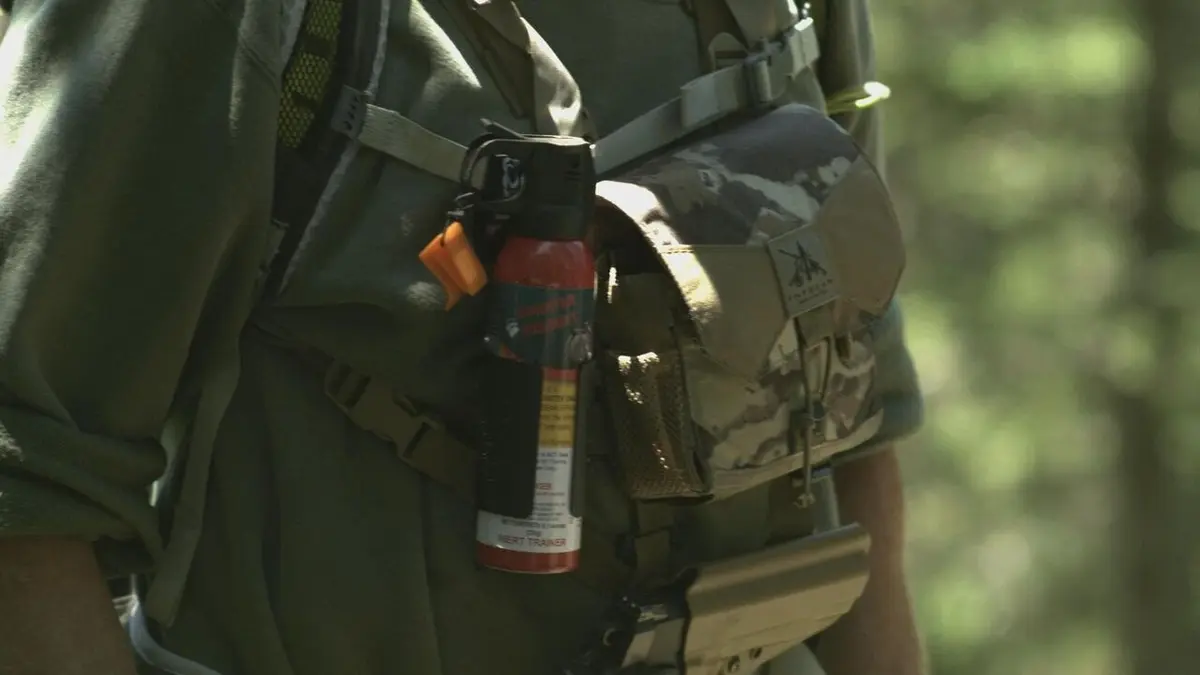 Morsures animales Telle une poupée