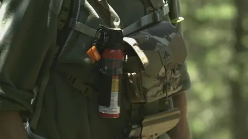 Morsures animales Telle une poupée