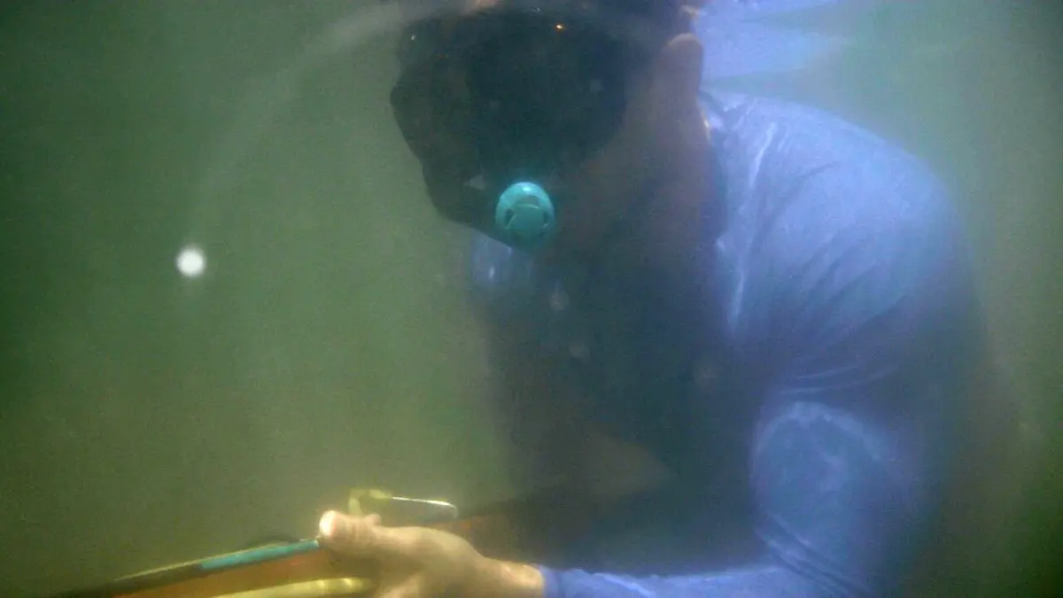 Morsures animales La mort aux trousses