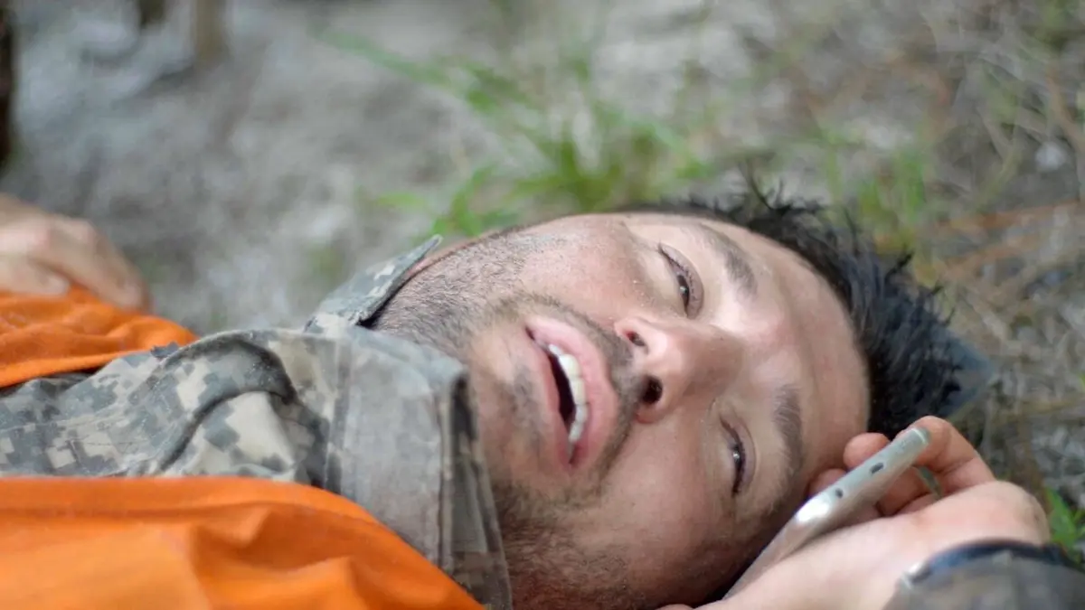 Morsures animales Grain de folie