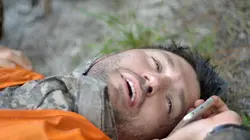 Morsures animales Grain de folie