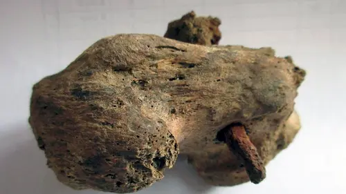 Mort par crucifixion : Anatomie d'une découverte