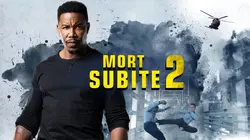 Mort Subite 2