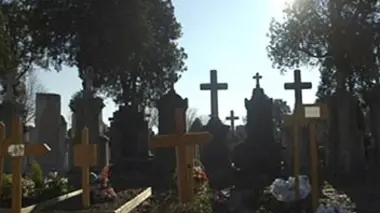 Morts sous X