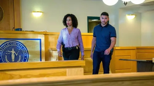 Most Wanted Criminals S03E03 Les survivants en streaming