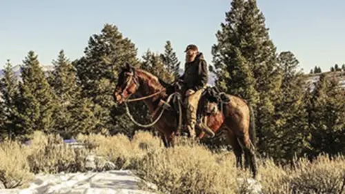 Mountain Men S03E14 Comment s'en sortir ?