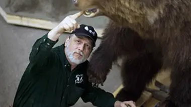 Course de traîneaux