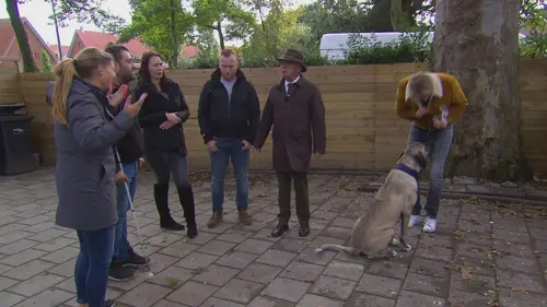 Mr. Frank Visser doet uitspraak Disney-heks