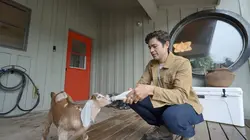 MTV Cribs S19E19 Adrian Grenier / Nastia Liukin