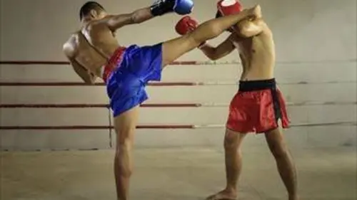 Muay thaï Prestige Fight 2019