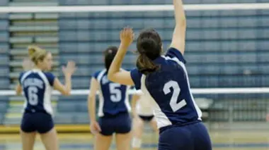 Mulhouse / Le Cannet Volley-ball Championnat de France Ligue A féminine 2016/2017
