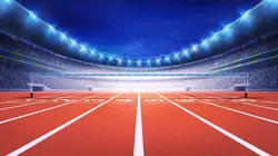 Multisports Jeux olympiques de Paris 2024