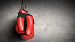 Multisports Jeux olympiques de Paris 2024