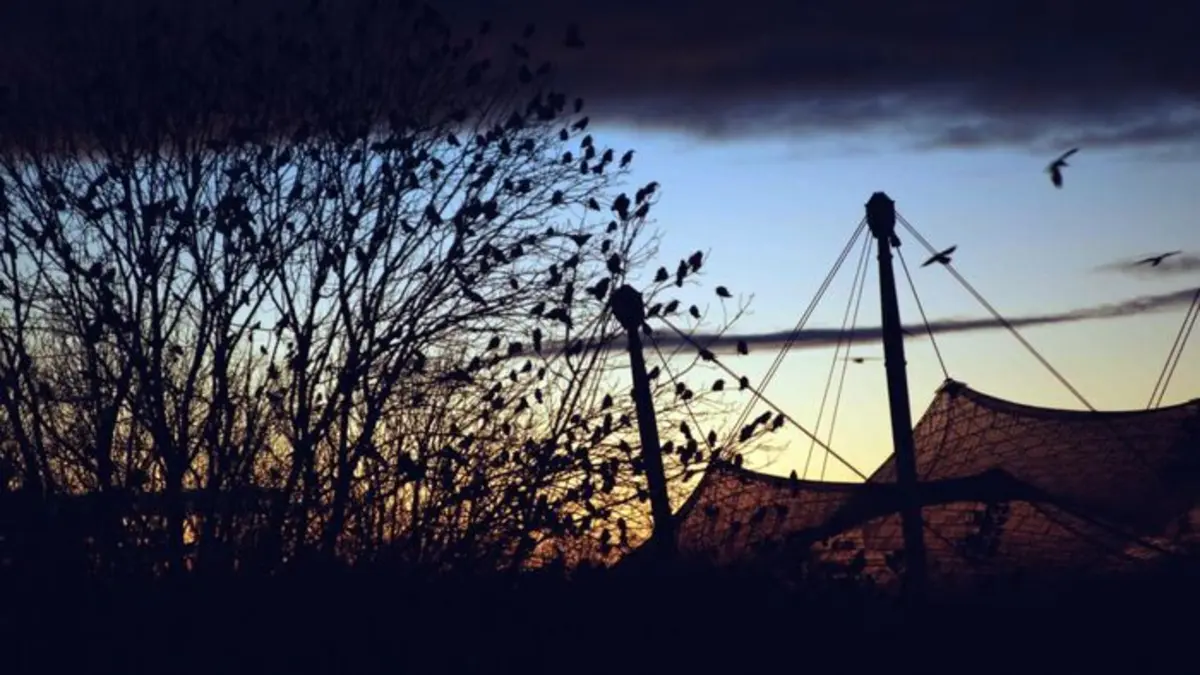 Munich 72, des jeux et du sang Le justicier