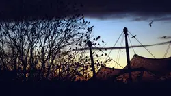 Munich 72, des jeux et du sang Le shérif