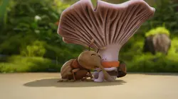 Mush-Mush & les Champotes S01E05 Bête de course