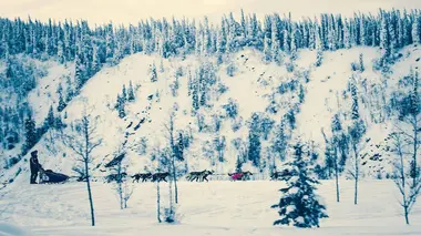 Mushers : à la conquête de la Yukon Quest