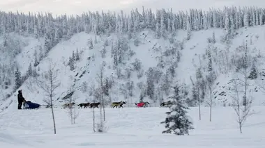 Mushers : à la conquête de la Yukon Quest