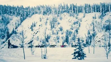 Mushers : à la conquête de la Yukon Quest