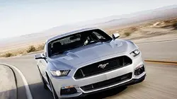 Visuel de Mustang, l'étalon toujours au galop