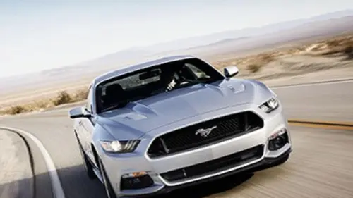 Mustang, l'étalon toujours au galop