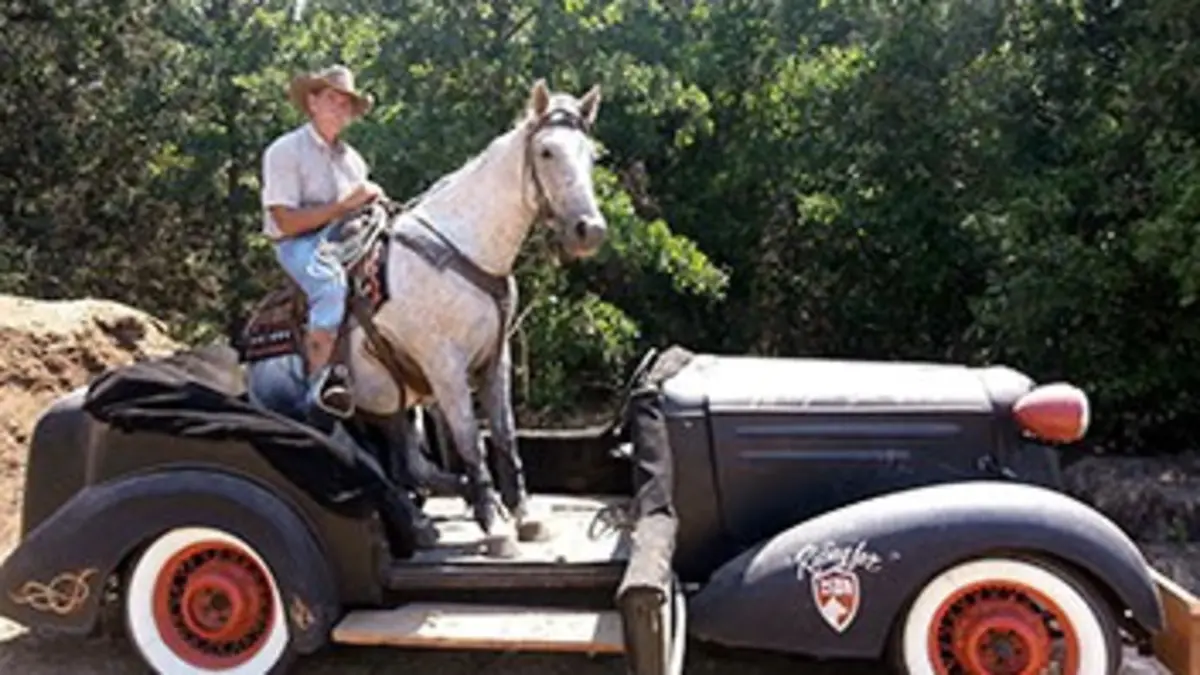 Mustang Millionnaire