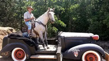 Mustang Millionnaire