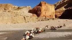 Visuel de Mustang, un voyage hors du temps
