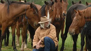 En route pour l'Europe