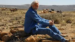 Visuel de Mustang, une légende vivante