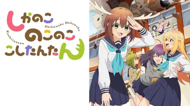 La Cerf Collec, un premier live et l'art du service