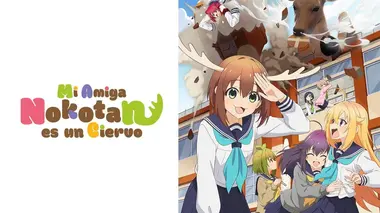 Adieu Nokotan ? Le club des cerfs pour toujours