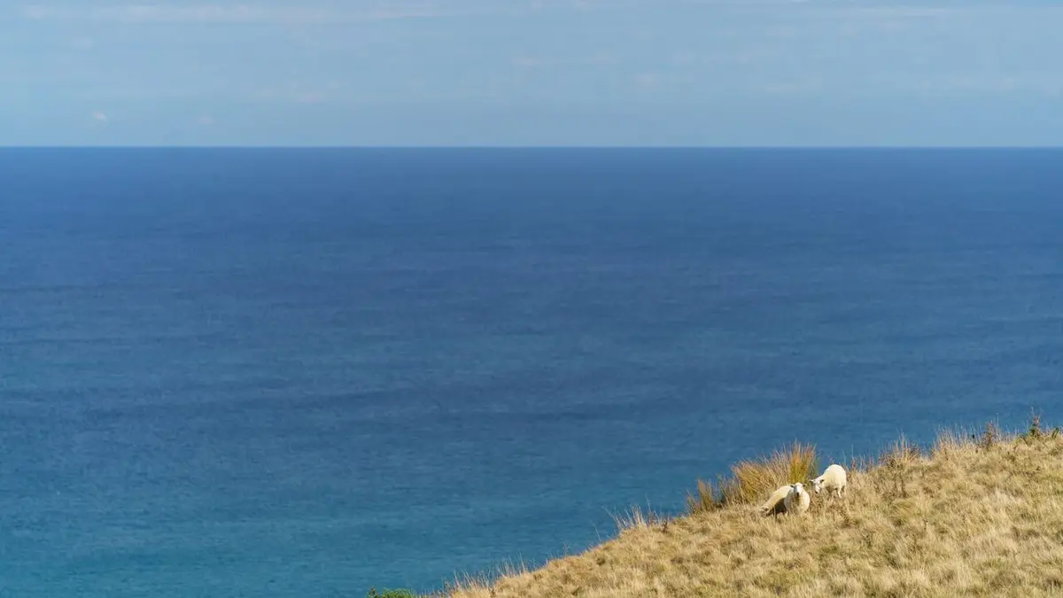 My Life is Murder S03E02 Le roman d'une vie