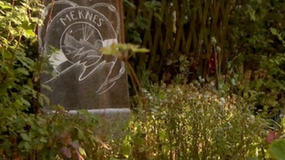 Mystères maritimes, affaires classées Bateaux martyrs