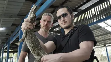 Mystères nazis L'attaque des crocodiles