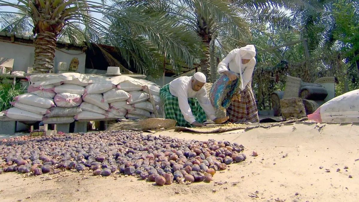 Mystérieuse Arabie Arabie saoudite : L'Ouest