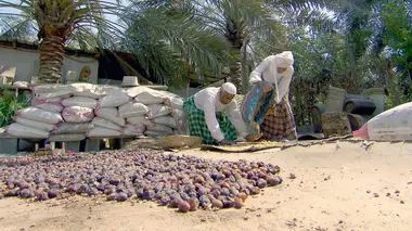 Arabie saoudite : L'Ouest