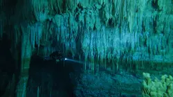 Mystérieuse planète  Mexique, les géants des Caraïbes