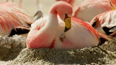 Les Andes, de feu et de glace