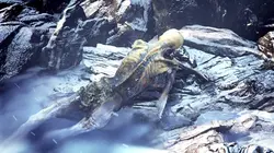 Mystérieuses momies