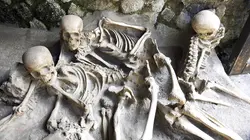 Mystérieuses momies