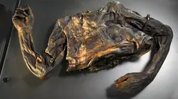 Mystérieuses momies