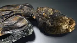 Mystérieuses momies